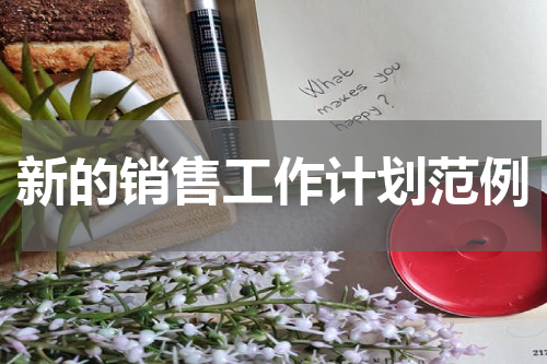 新的销售工作计划范例