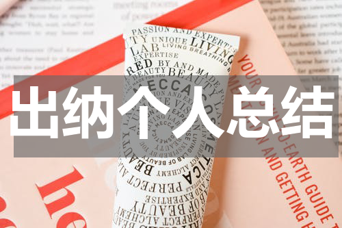 出纳个人总结