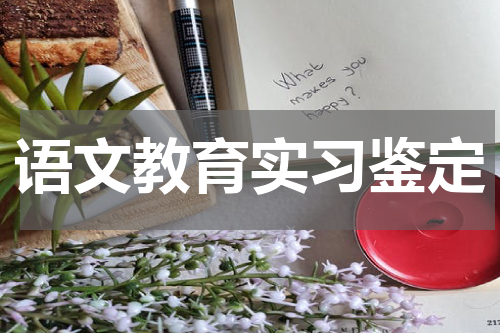 语文教育实习鉴定