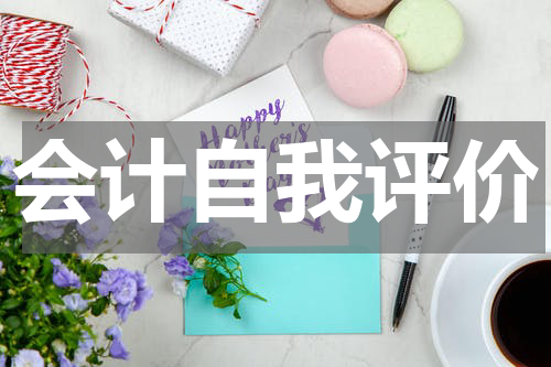 会计自我评价