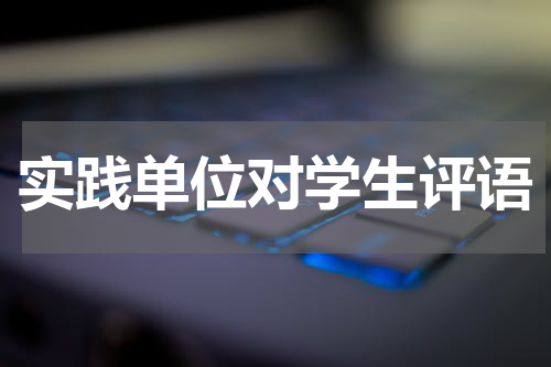 实践单位对学生评语
