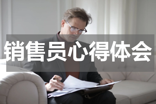 销售员心得体会