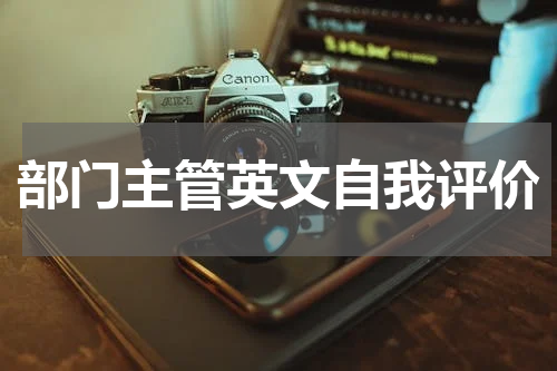 部门主管英文自我评价
