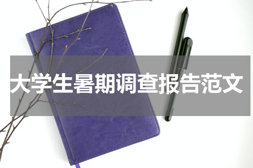 大学生暑期调查报告范文