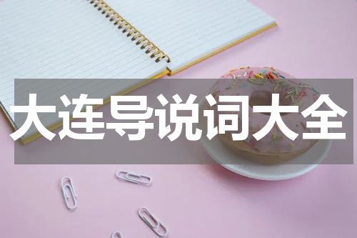 大连导说词大全