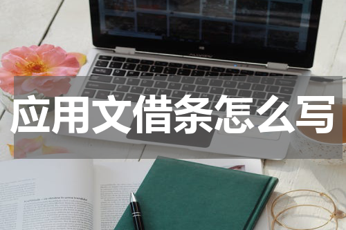 应用文借条怎么写