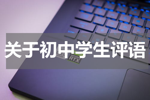 关于初中学生评语