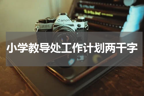 小学教导处工作计划两千字