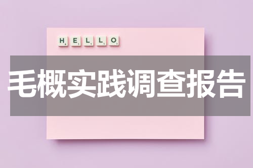 毛概实践调查报告
