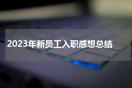 2023年新员工入职感想总结