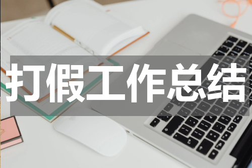 打假工作总结
