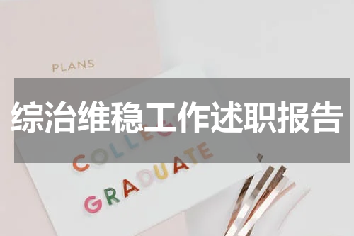 综治维稳工作述职报告