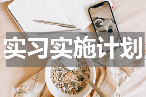 实习实施计划