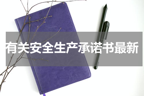 有关安全生产承诺书最新