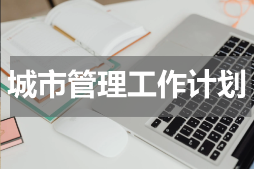 城市管理工作计划