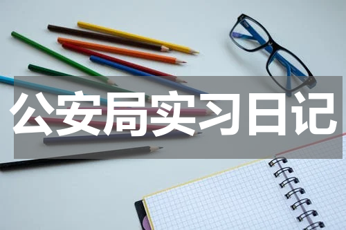 公安局实习日记