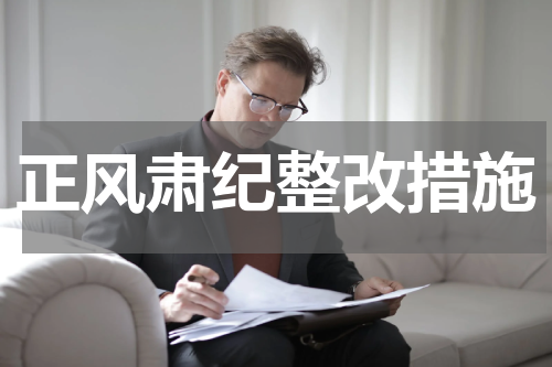 正风肃纪整改措施