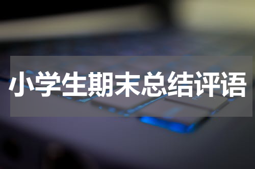 小学生期末总结评语