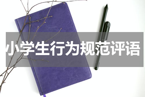 小学生行为规范评语