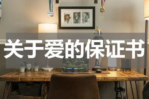 关于爱的保证书