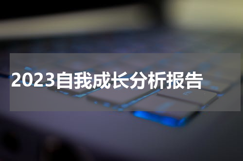 2023自我成长分析报告