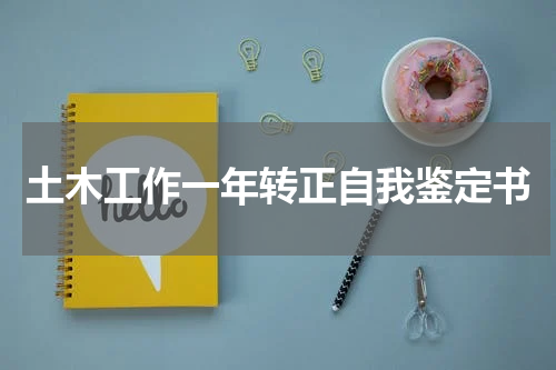 土木工作一年转正自我鉴定书