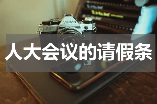 人大会议的请假条