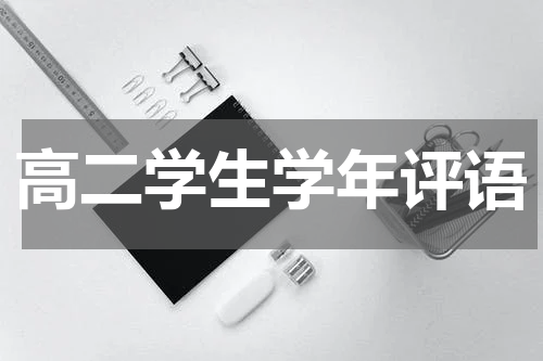 高二学生学年评语