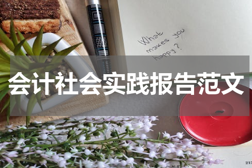会计社会实践报告范文