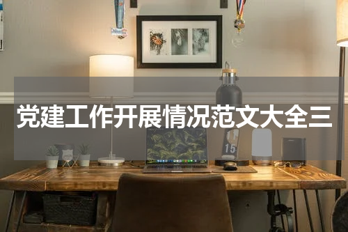 党建工作开展情况范文大全三