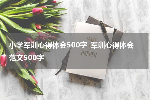 小学军训心得体会500字_军训心得体会范文500字