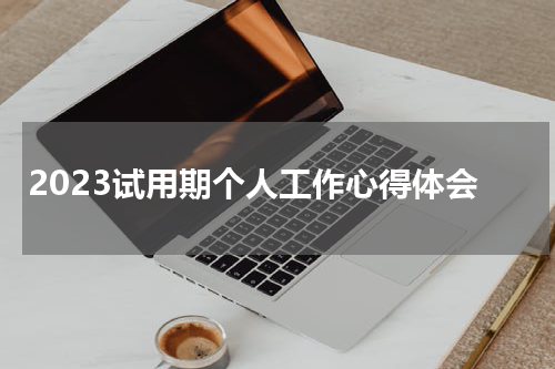 2023试用期个人工作心得体会