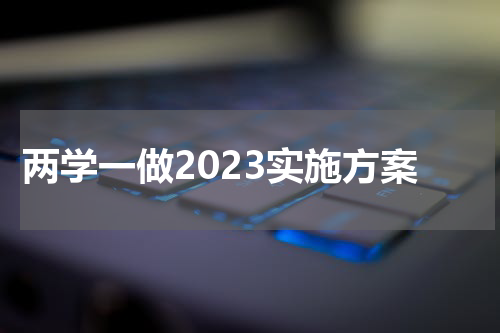 两学一做2023实施方案