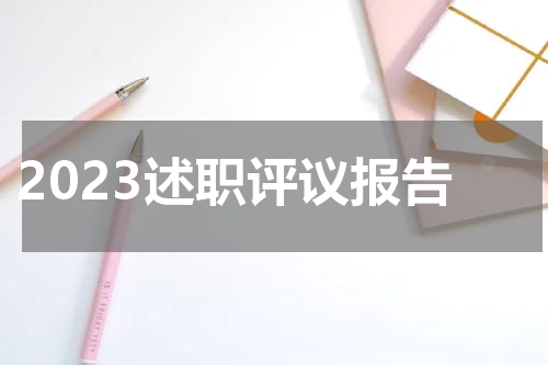 2023述职评议报告