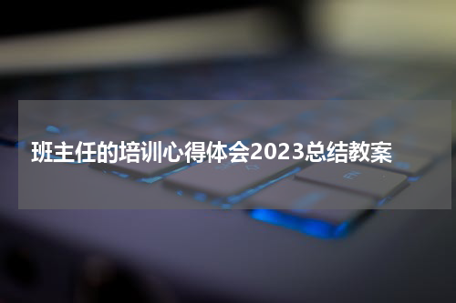 班主任的培训心得体会2023总结教案