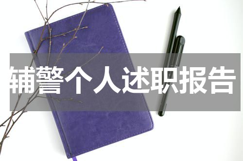 辅警个人述职报告