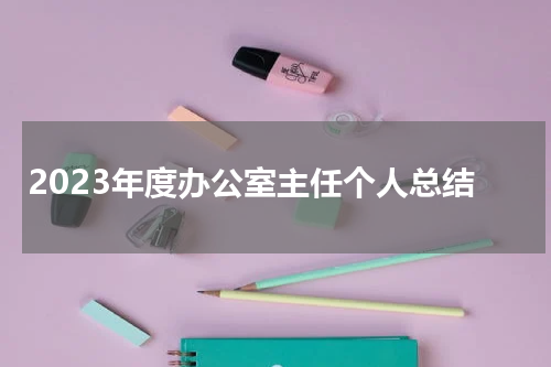 2023年度办公室主任个人总结