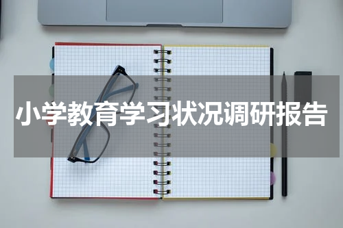小学教育学习状况调研报告