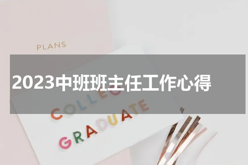 2023中班班主任工作心得