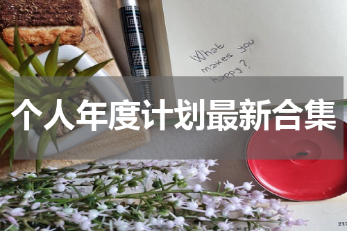 个人年度计划最新合集