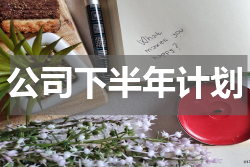 公司下半年计划