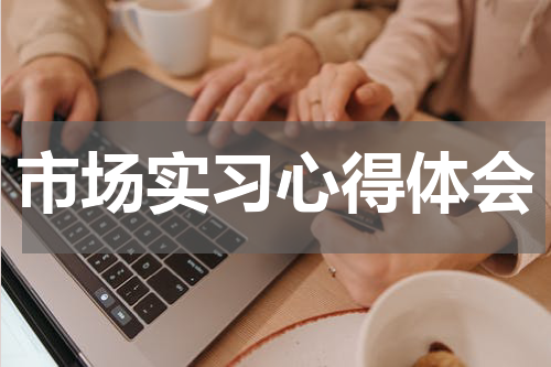 市场实习心得体会