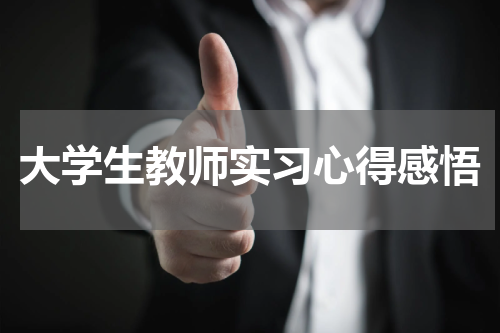 大学生教师实习心得感悟