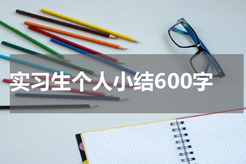 实习生个人小结600字