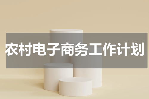 农村电子商务工作计划