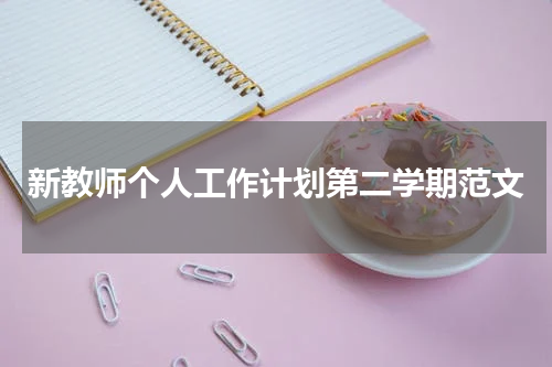 新教师个人工作计划第二学期范文