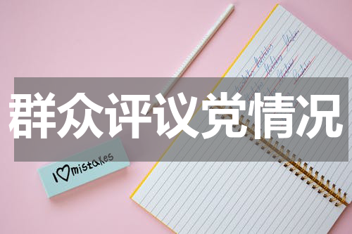 群众评议党情况