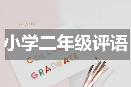 小学二年级评语