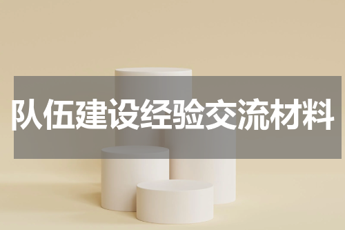 队伍建设经验交流材料
