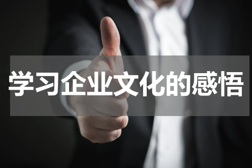 学习企业文化的感悟